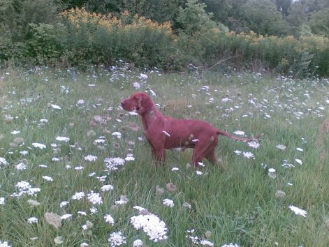 20100807047.jpg