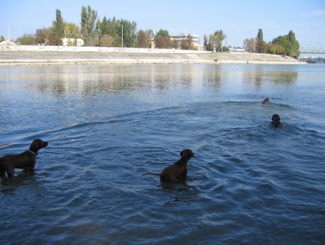 20101010_kolyokkirandulas_046.jpg