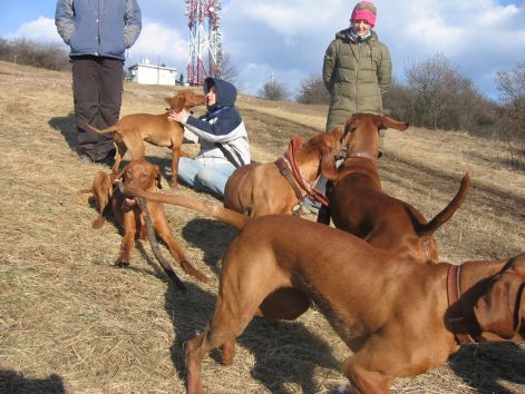 vizslacsalad_talalkozo_20110306_122.jpg